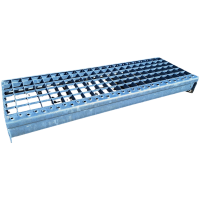 Treapta presata 700x240